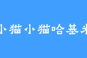 小猫小猫哈基米