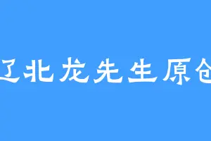 辽北龙先生原创