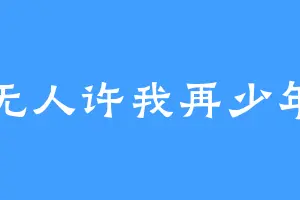 无人许我再少年