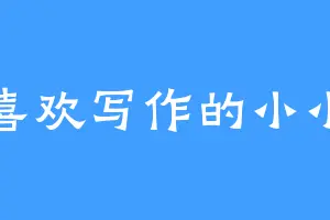 喜欢写作的小小