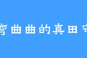 弯弯曲曲的真田守一