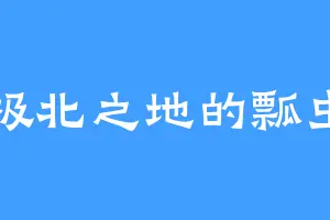 极北之地的瓢虫