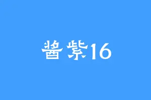 酱紫16