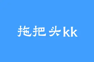 拖把头kk