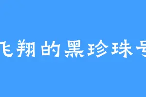 飞翔的黑珍珠号