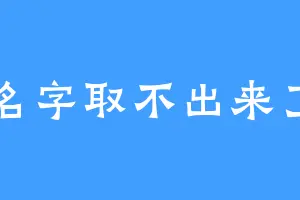 名字取不出来了