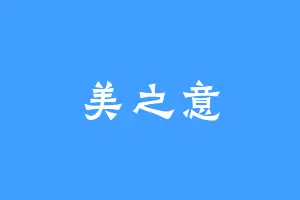 美之意