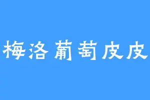 梅洛葡萄皮皮
