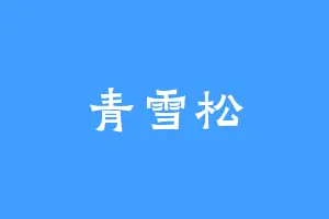 青雪松