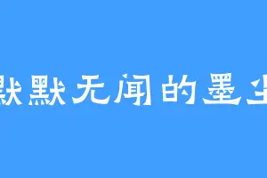 默默无闻的墨尘