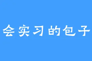 会实习的包子