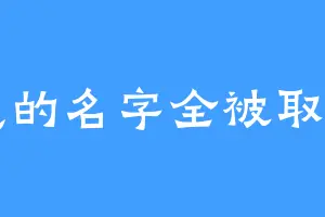 想的名字全被取了