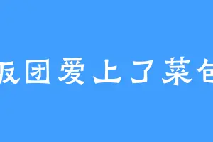 饭团爱上了菜包