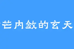 锋芒内敛的玄天风