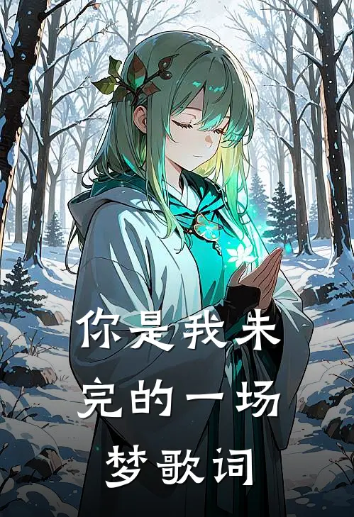 你是我未完的一场梦歌词