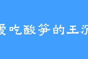 爱吃酸笋的王沉