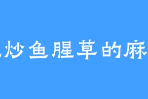 爱吃炒鱼腥草的麻永亮