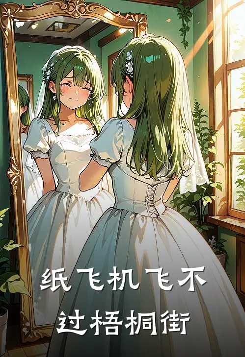 纸飞机飞不过梧桐街