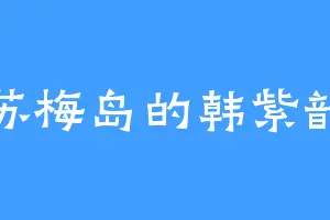 苏梅岛的韩紫韵