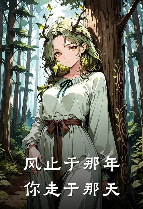 风止于那年，你走于那天(沈怀川许心梨)完结小说_小说完整版免费阅读风止于那年，你走于那天沈怀川许心梨