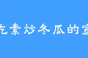 爱吃素炒冬瓜的宣玖
