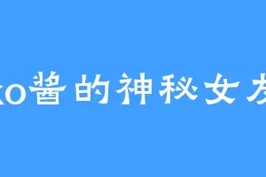 ko酱的神秘女友