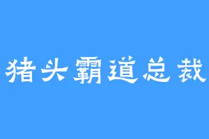 猪头霸道总裁