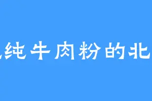 爱吃纯牛肉粉的北冥鬼