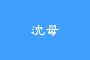 沈母