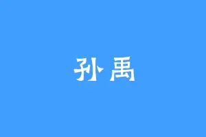 孙禹