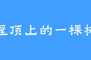 屋顶上的一棵树