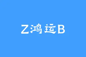 Z鸿运B