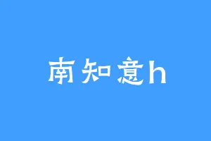 南知意h