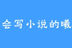 不会写小说的曦玄