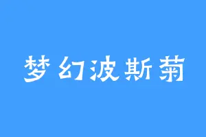 梦幻波斯菊
