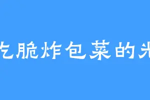爱吃脆炸包菜的光华