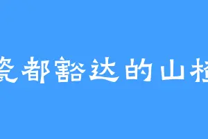 瓷都豁达的山楂