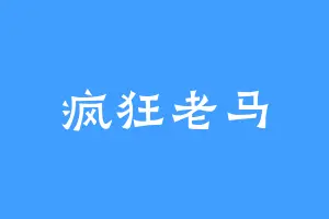 疯狂老马
