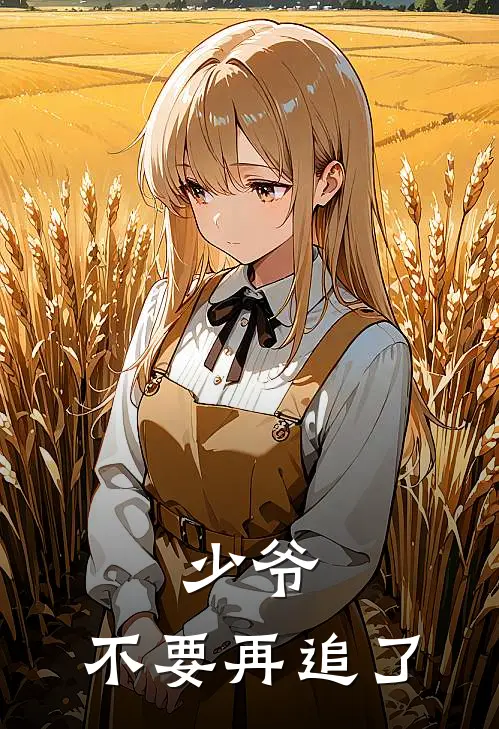 少爷，不要再追了