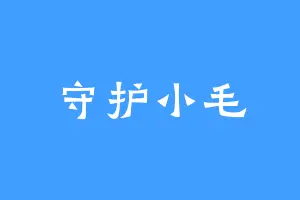 守护小毛