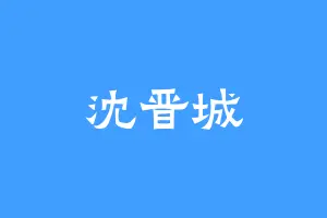 沈晋城