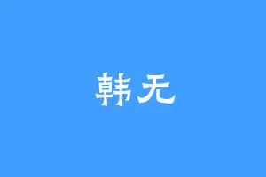韩无