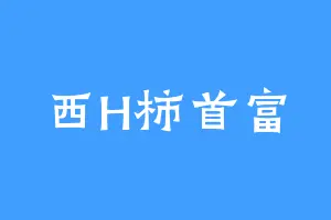 西H柿首富
