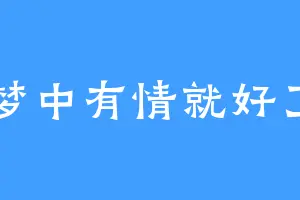 梦中有情就好了