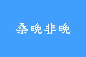 桑晚非晚