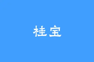 桂宝