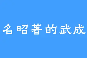 臭名昭著的武成王