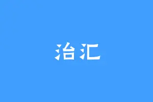 治汇