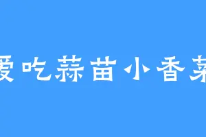 爱吃蒜苗小香菜