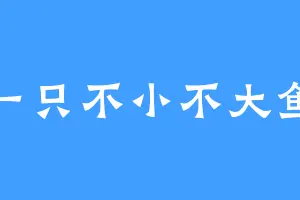 一只不小不大鱼